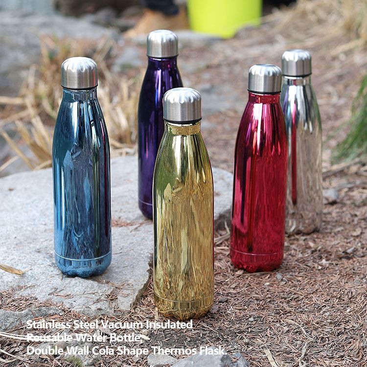 25oz UV Stainless Steel Water Bottle
